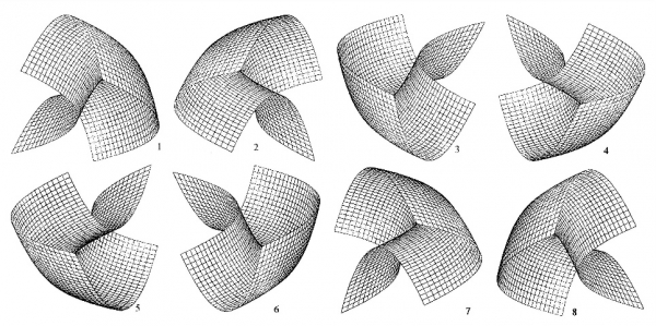 Fig. 7. En tournant et inversant l’on obtient ces huit vues de la projection du graphe de l’ombilic hyperbolique6. 