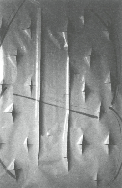 Fig. 3 - François Rouan, Papier fendu, 1966